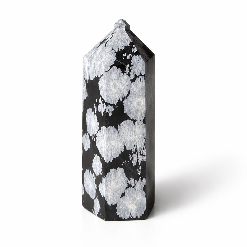 Snowflake Obsidian Tower