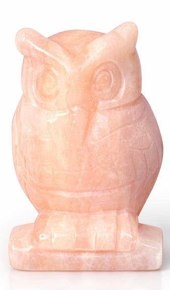 Carved Owls